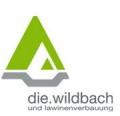 Wildbach- und Lawinenverbauung