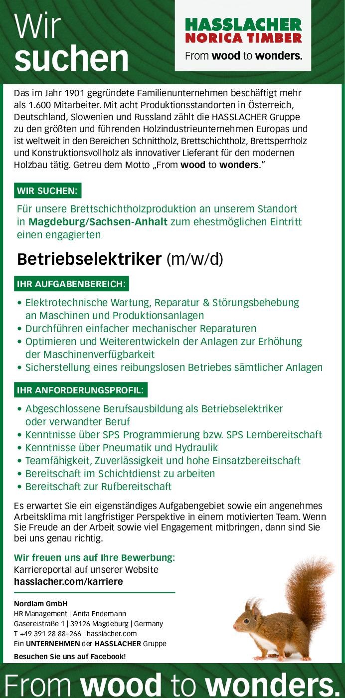 Betriebselektriker (m/w/d)